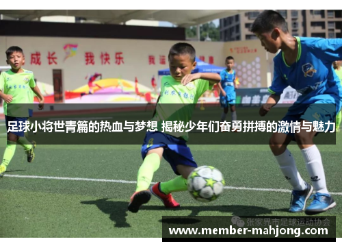 足球小将世青篇的热血与梦想 揭秘少年们奋勇拼搏的激情与魅力