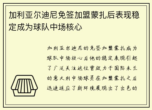 加利亚尔迪尼免签加盟蒙扎后表现稳定成为球队中场核心