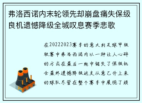 弗洛西诺内末轮领先却崩盘痛失保级良机遗憾降级全城叹息赛季悲歌
