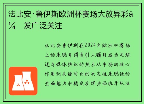 法比安·鲁伊斯欧洲杯赛场大放异彩引发广泛关注