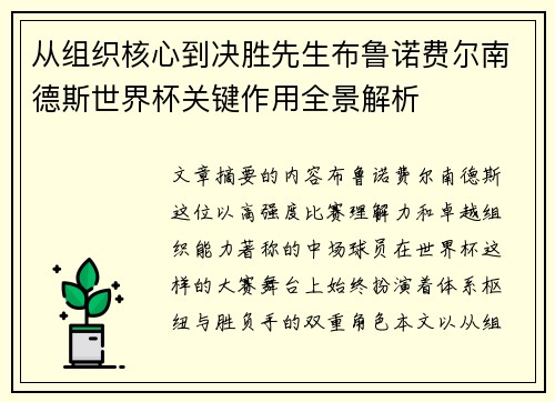 从组织核心到决胜先生布鲁诺费尔南德斯世界杯关键作用全景解析